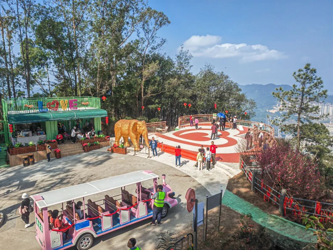 李叶子 摄金象山占地面积约5337亩,拥有得天独厚的森林资源.