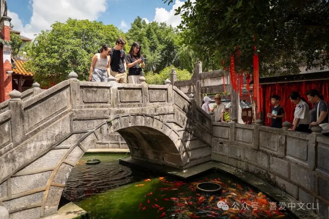 Private vs Group Chinese Lessons ： Choose the Right Format for You