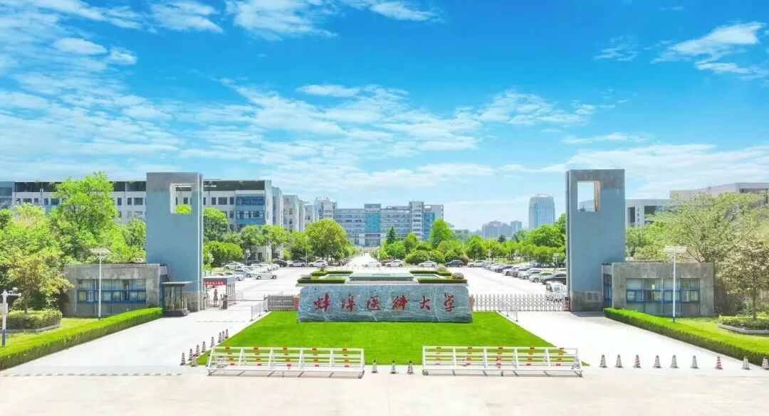 安徽錄取江蘇的分數線_2024年安徽大學江淮學院錄取分數線(2024各省份錄取分數線及位次排名)_江淮大學2019錄取分數線