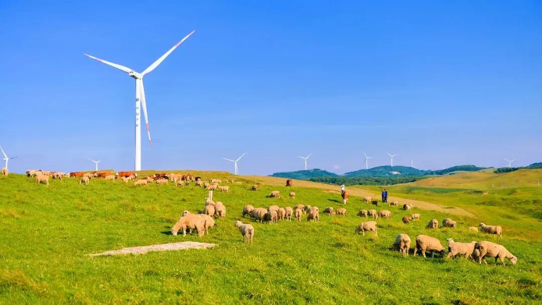 威宁县文明网>文明创建>雪山镇灼甫草场(来源:贵州画报)除了依托丰富