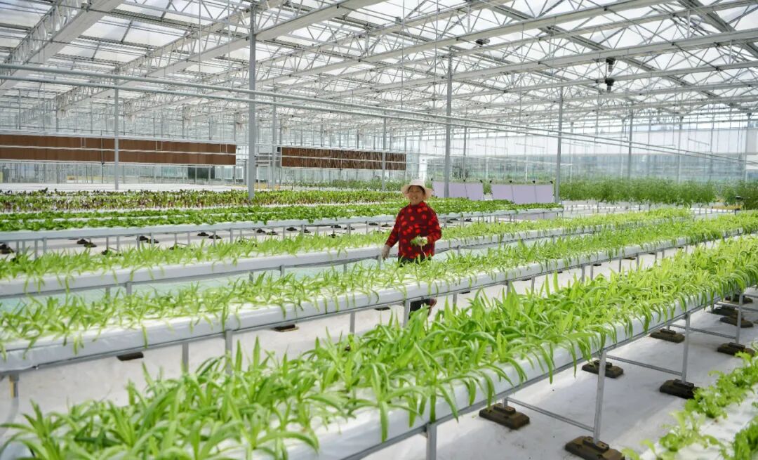 山乡花雨澜山农文旅融合示范区开业