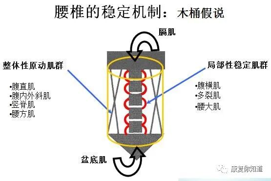 悬吊训练系统 怎么装悬吊训练（SET）康复原理及临床应用_https://www.jmylbn.com_新闻资讯_第9张