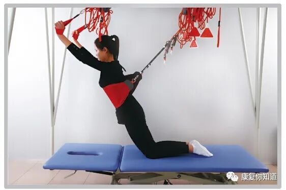 悬吊训练系统 怎么装悬吊训练（SET）康复原理及临床应用_https://www.jmylbn.com_新闻资讯_第14张