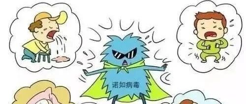 诺如病毒感染性腹泻高发季节防控安全预警提示