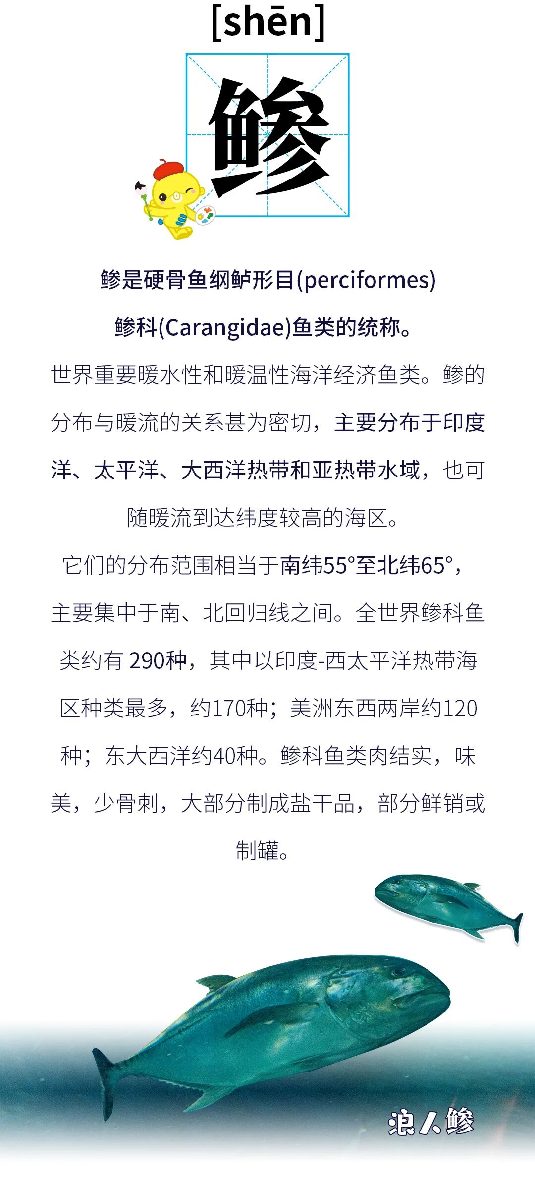 鱼 旁汉字知多少 上海海洋水族馆 微信公众号文章 微小领