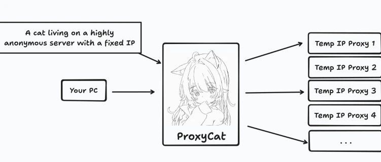 Example Image