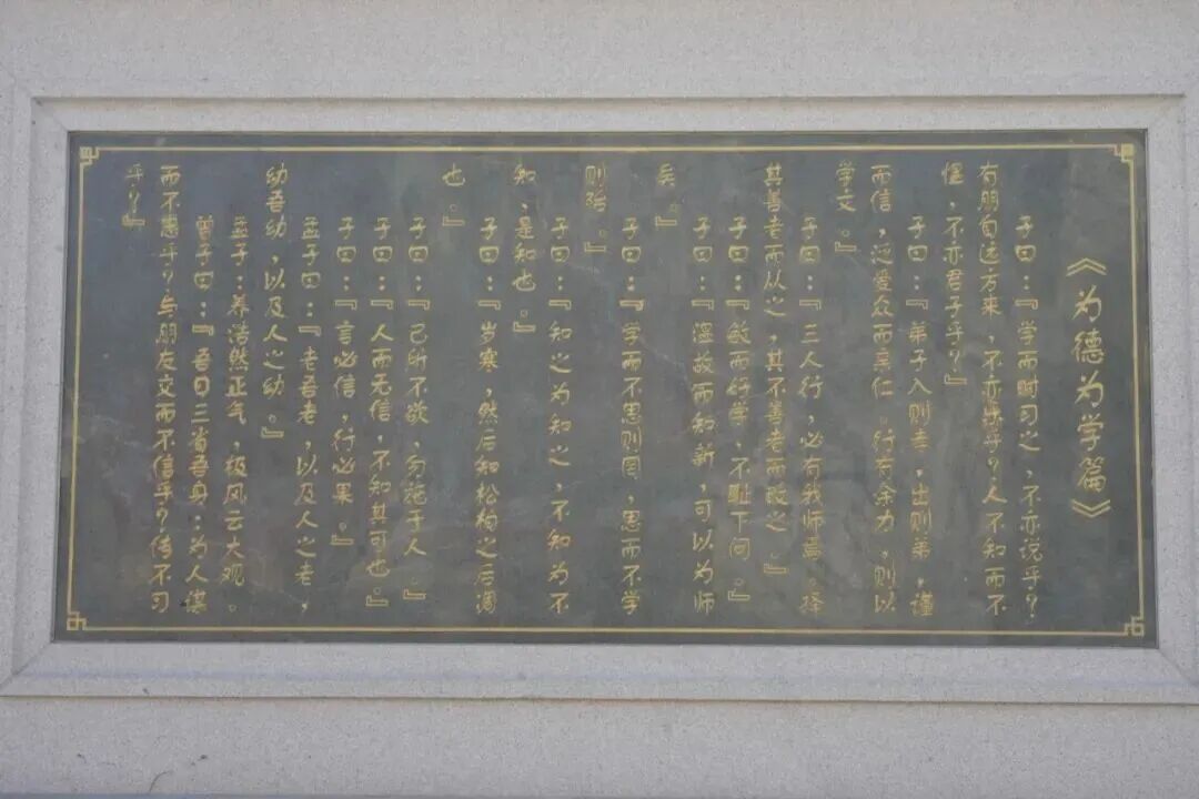 古街莲韵沐清风