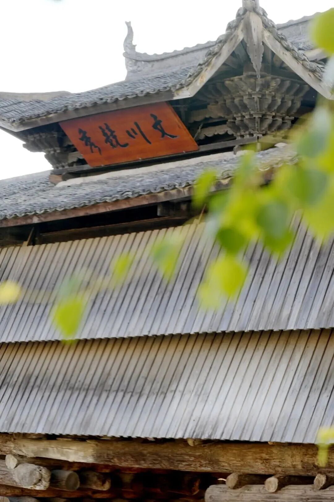 古街莲韵沐清风