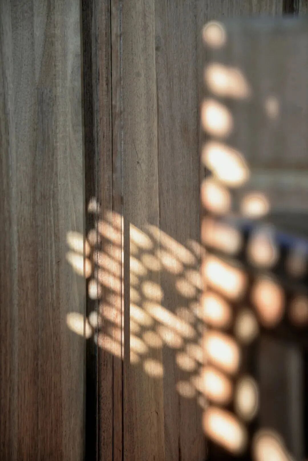 古街莲韵沐清风