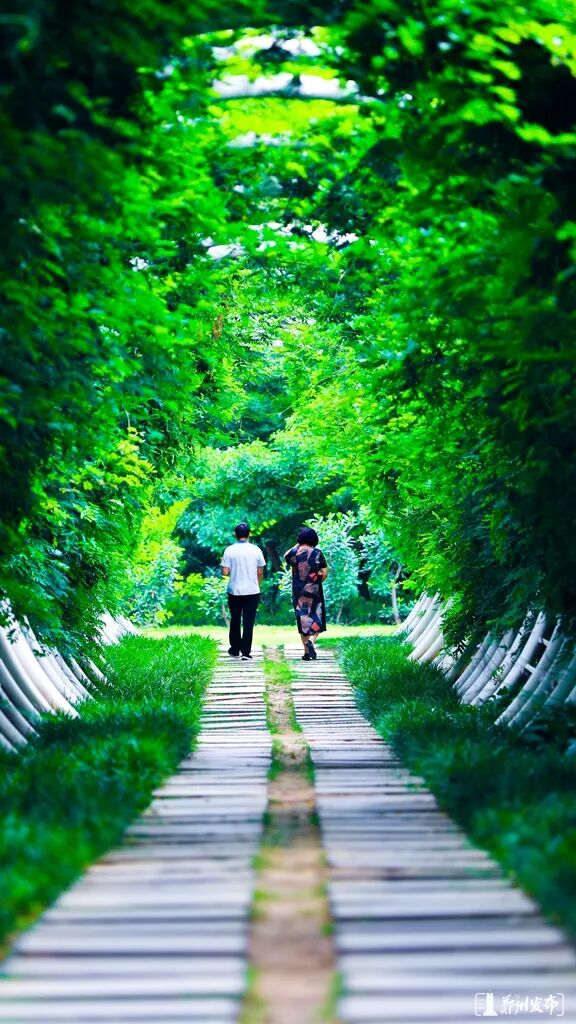 中天骏宏建设有限公司