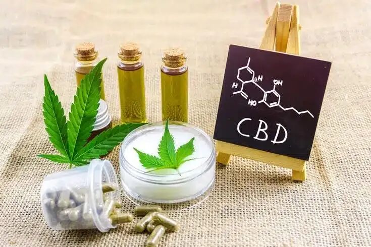 大麻二酚(CBD)作为多靶点治疗剂缓解阿尔茨海默病病理及改善认知功能的研究
