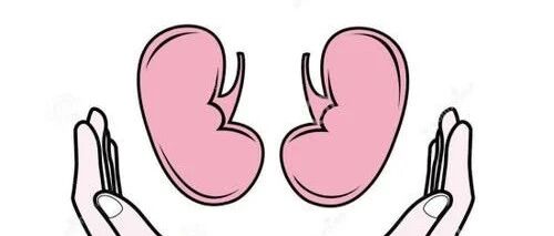 【养生】寒与肾相应，最易耗伤肾阳，护肾养肾方法学起来！