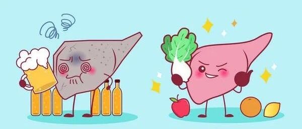 【中医知识小讲堂】五脏六腑的功能—肝