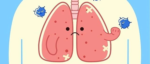 【中医知识小讲堂】五脏六腑的功能—肺