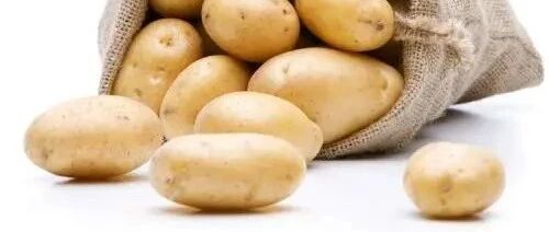 【养生】马铃薯：新时代的主粮明星