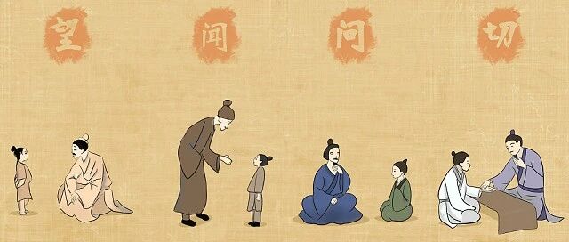 中医学专业知识服务系统脉诊数据库建设