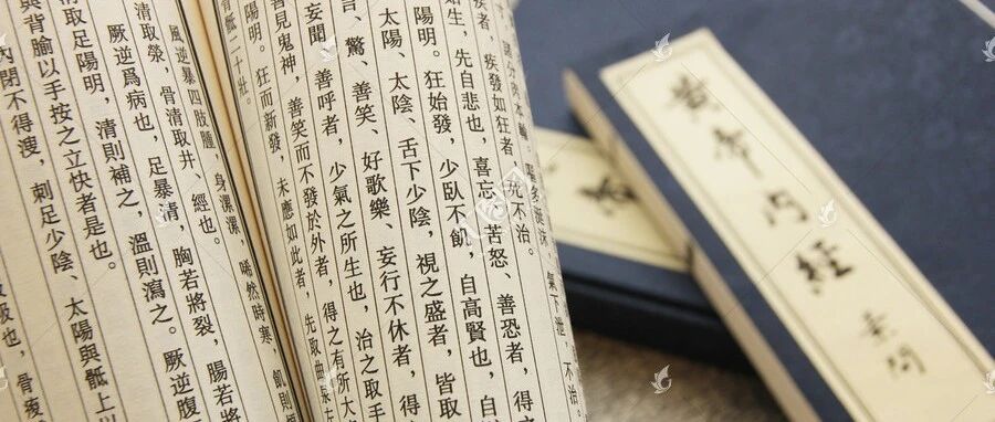 【学术板块】《黄帝内经》饮食养生理论研究*