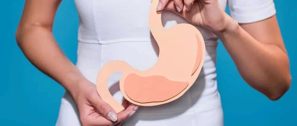 【中医知识小讲堂】五脏六腑的功能—胆与胃