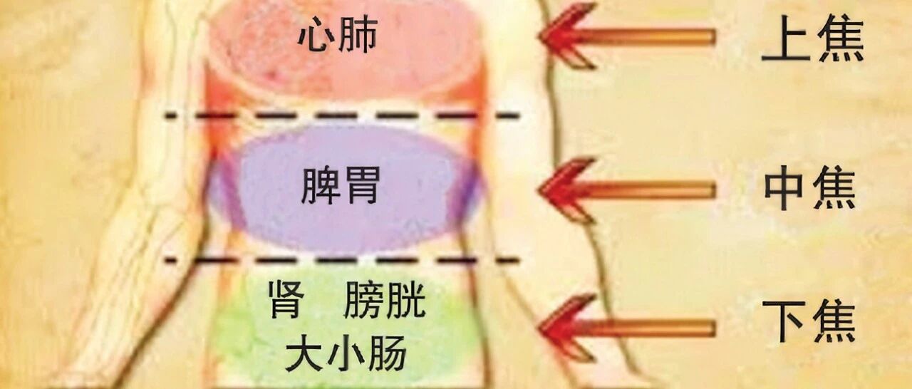 【中医知识小讲堂】五脏六腑的功能—膀胱与三焦