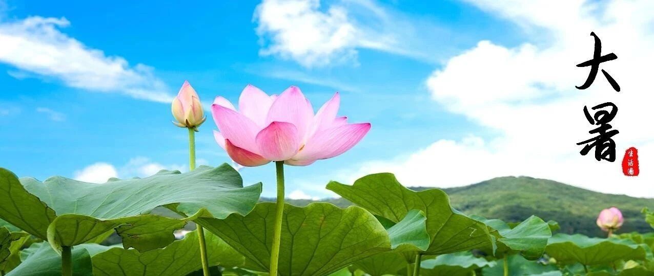 【养生】今日大暑 | 你不知道的养生秘诀！