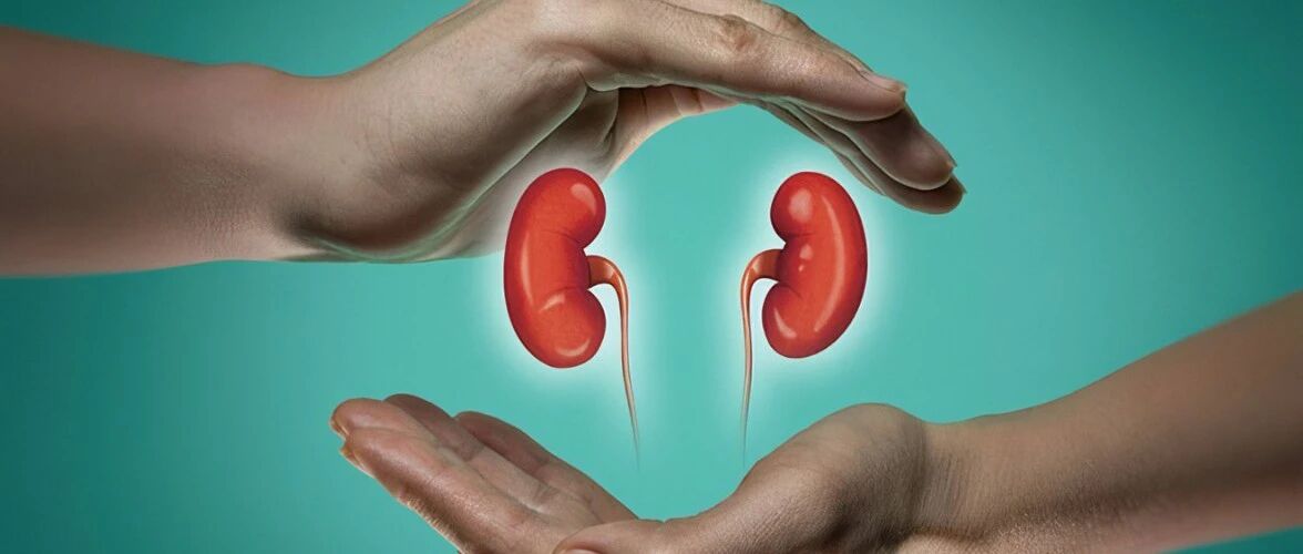 【中医病案】孙郁芝治疗过敏性紫癜性肾炎经验