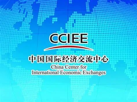 2020年 - 中国国际经济交流中心