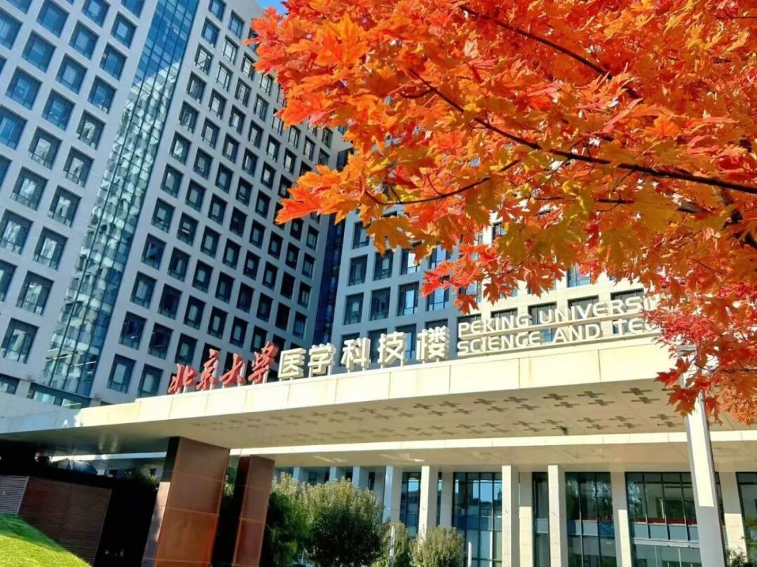 微信图片_20251028142056_99_36.jpg