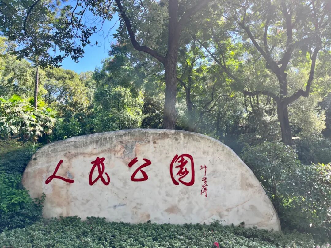 绵阳多个纯新盘曝光!沉寂已久王炸地块传来新消息!