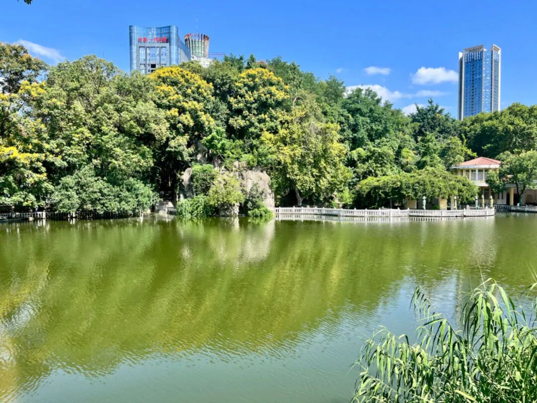 先睹为快!绵阳这张城市名片,即将重磅升级!-楼市分析-淘房家居网