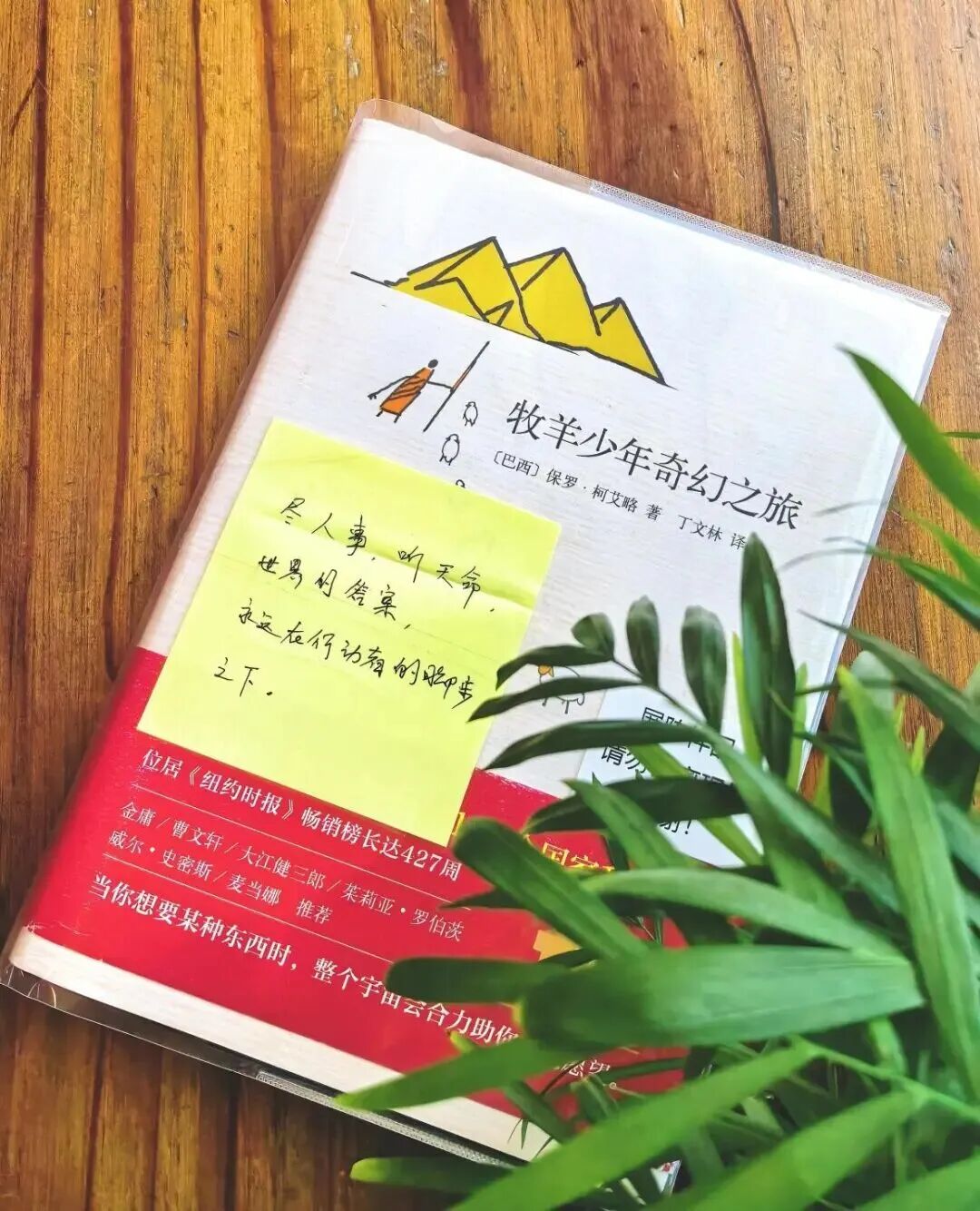 9.webp