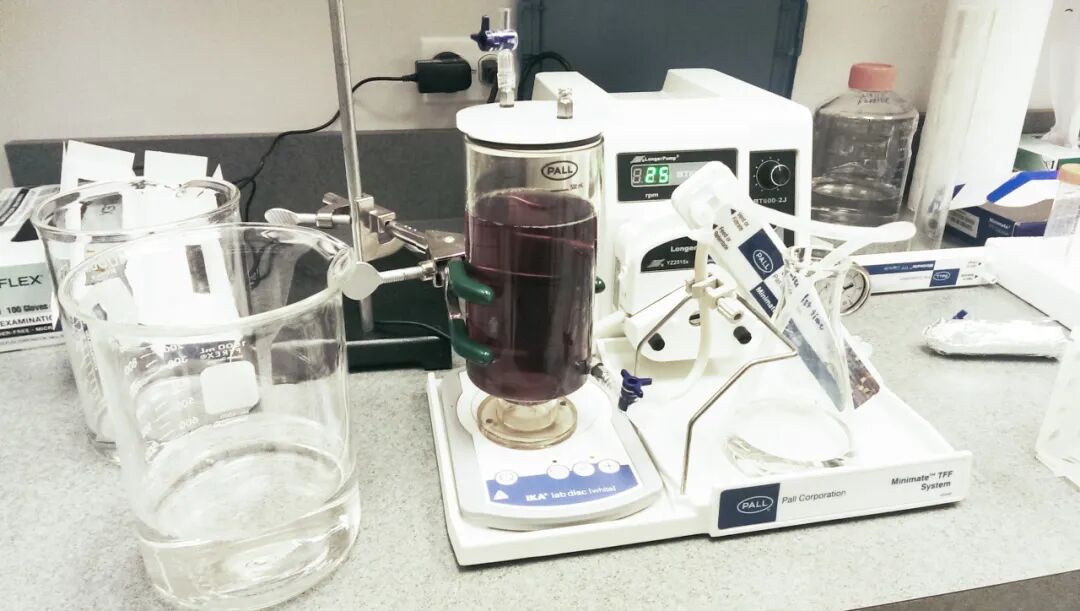 蘭格蠕動泵在切向流過濾中的應(yīng)用