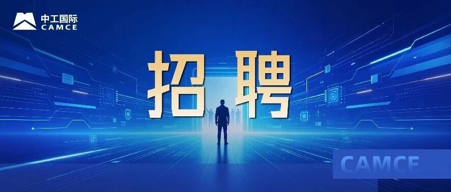 中工国际高级数智化发展经理岗位招聘