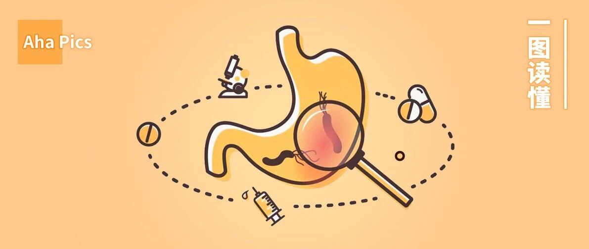 一半中国人感染「胃癌细菌」，该怎么办？