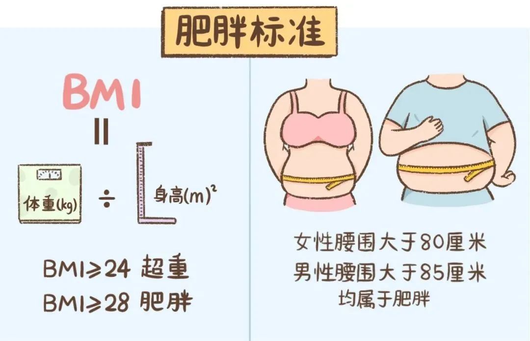 药物减肥_减肥药物推荐_减肥药物奥利司他的作用机制是