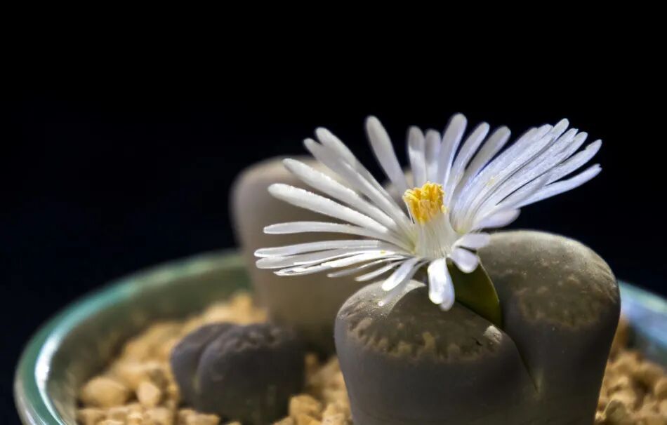 检查指套怎么弄肛门指检可以自己做吗？_https://www.jmylbn.com_新闻资讯_第3张