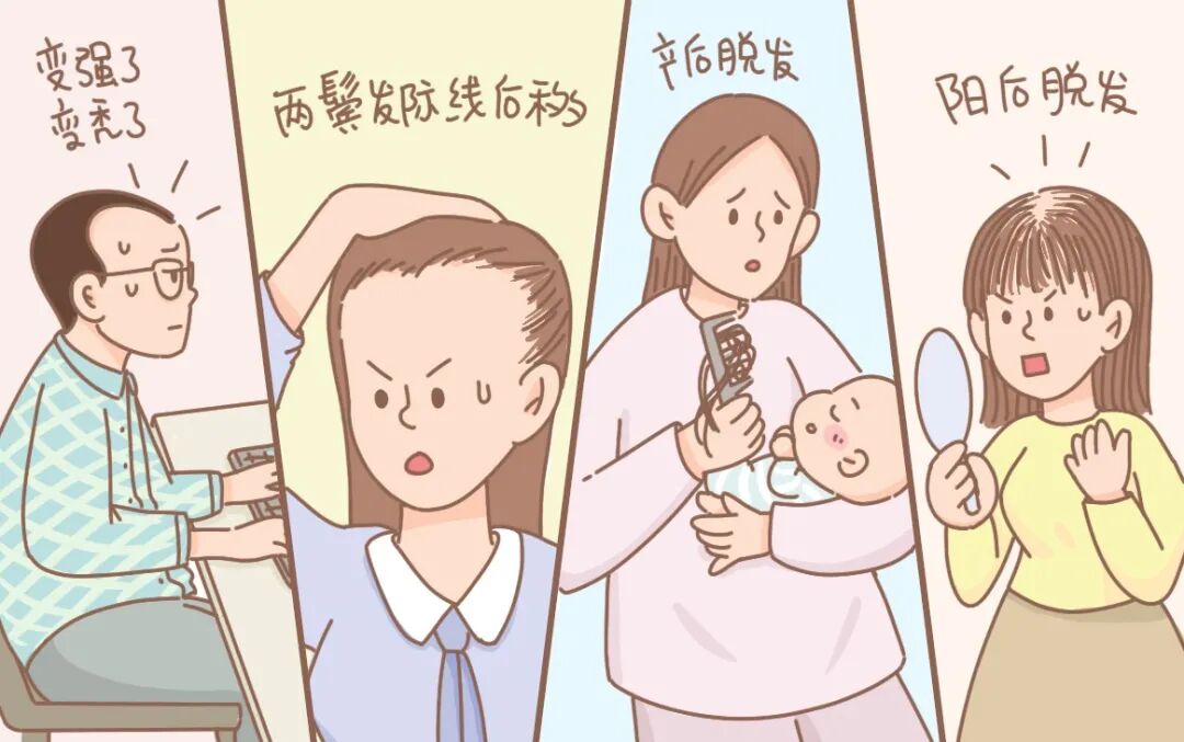 每天喷2次，发际线高、发缝宽有救啦！