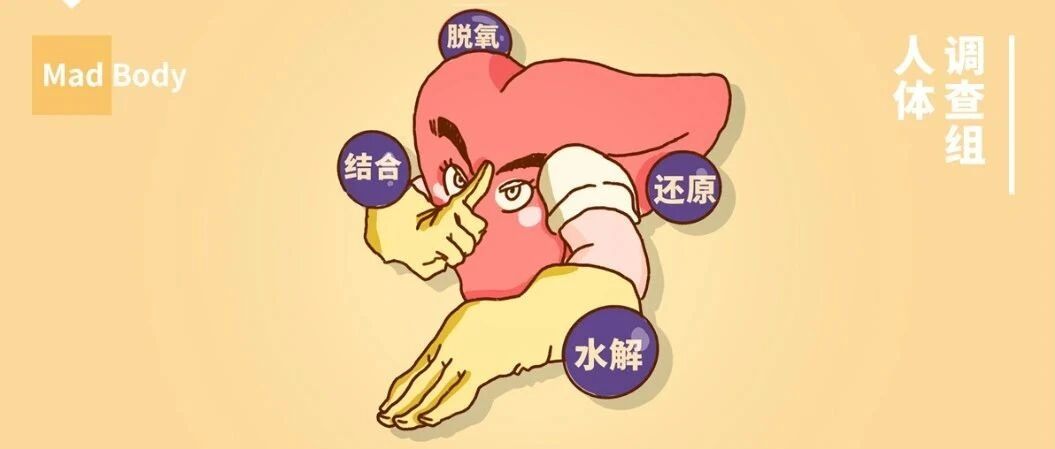 你的肝，是怎么一步步坏掉的