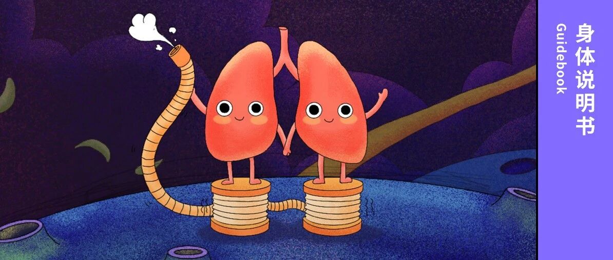 你的肺，就是这样坏掉的