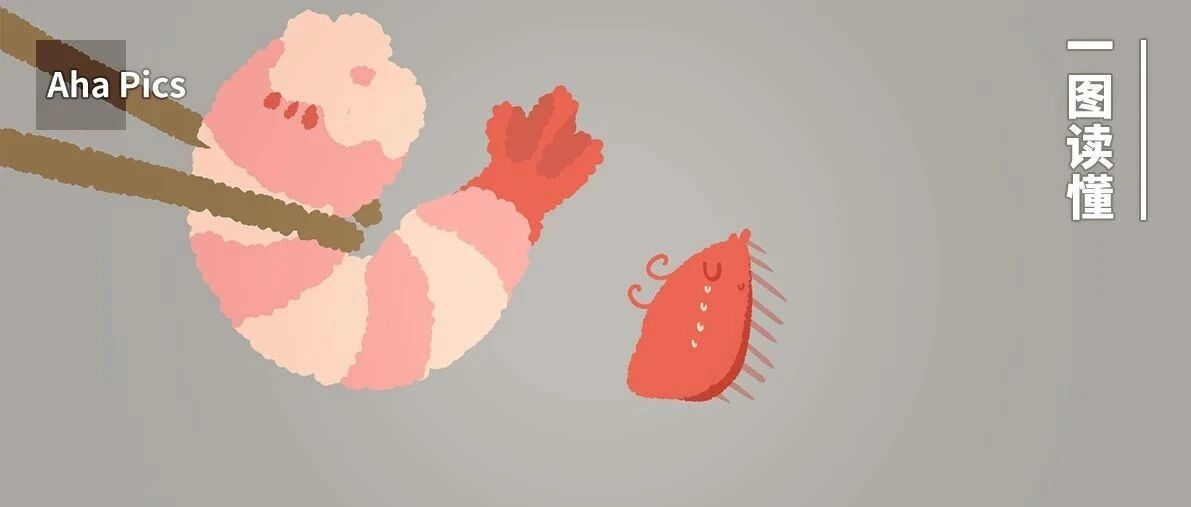 虾背里的黑线真的很脏么？这么吃虾才正确