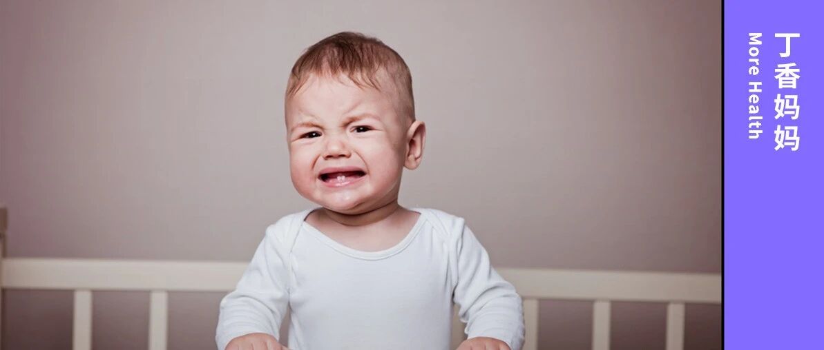 食物和妈妈的怀抱哪个更重要？看完这个实验我哭了