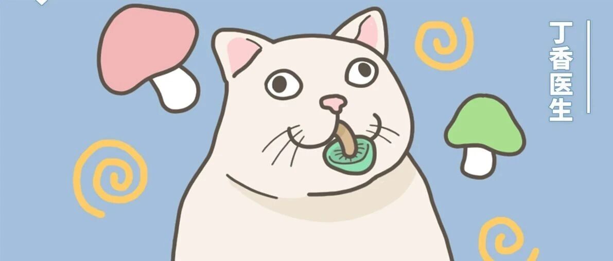 最「能吃」省份排行榜，广东人竟然不是第一！？