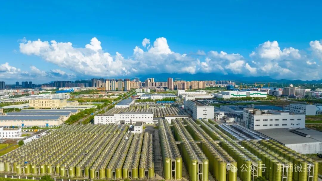 省政协调研组到阳西县开展"加快以县城为重要载体的新型城镇化建设