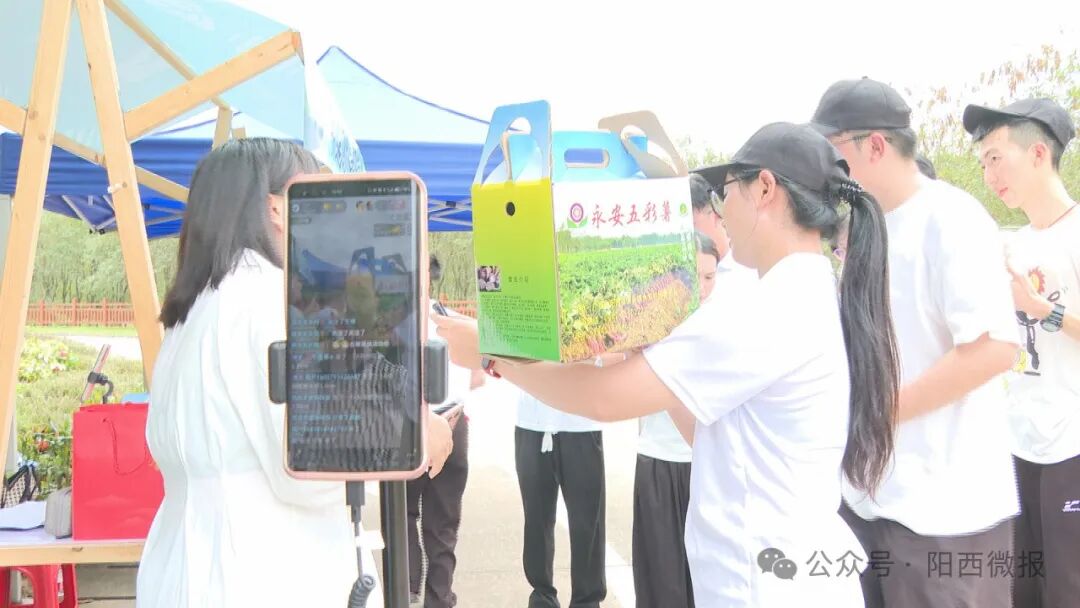 您当前所在位置:>首页>新闻>阳西新闻> 在青年助力优化营商环境"彩虹