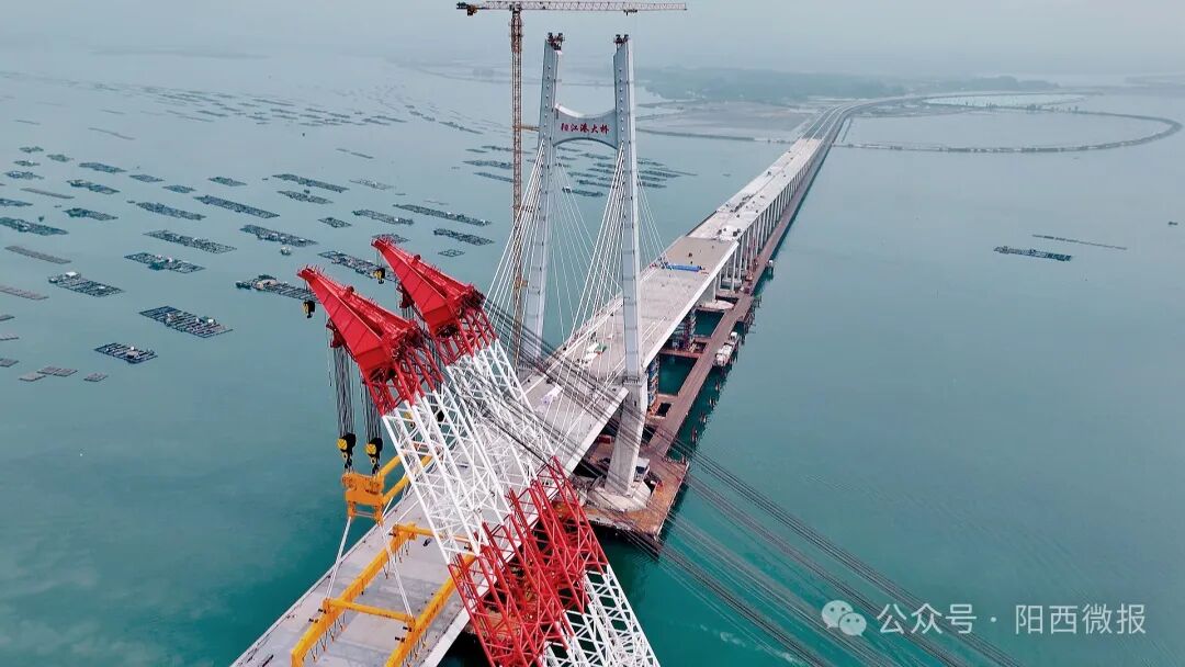 顺利合龙阳江港大桥最后一节段钢箱梁完成吊装