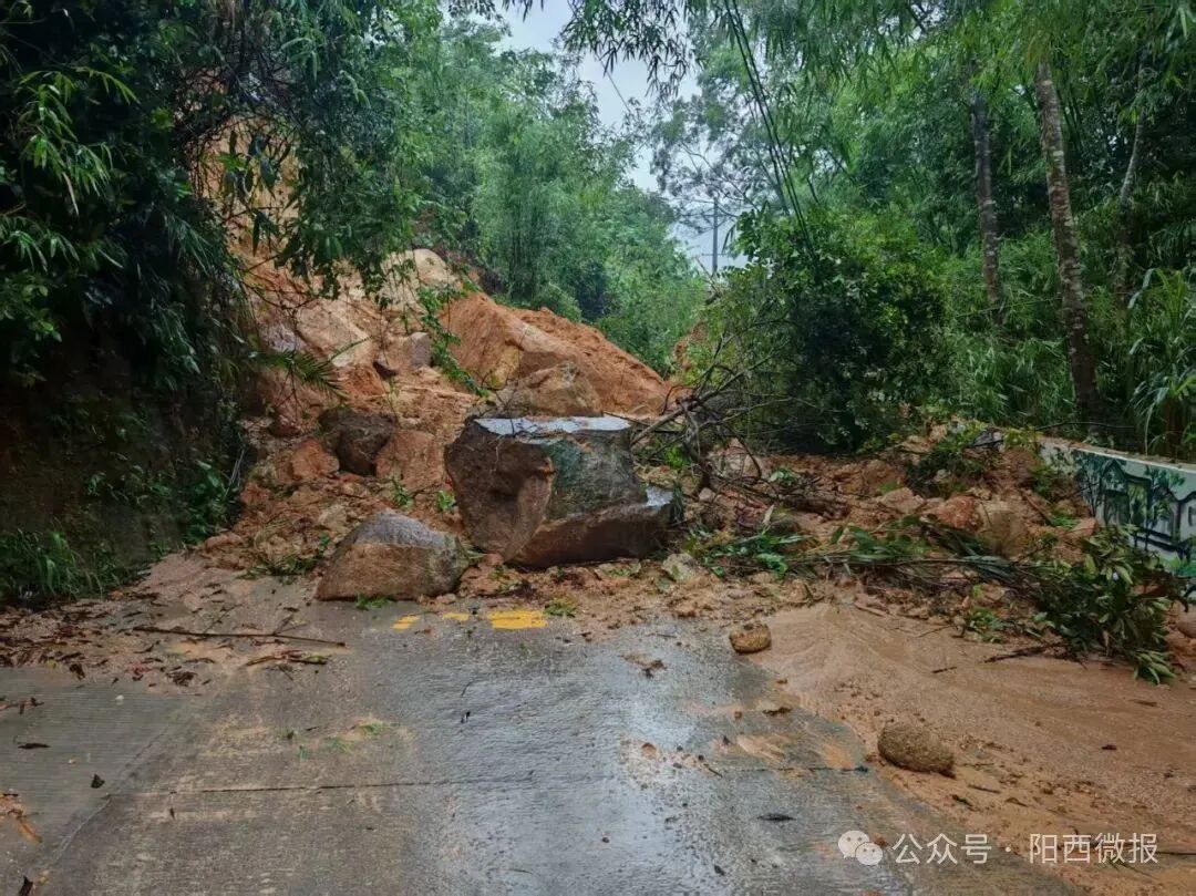 强降雨导致新墟出现山洪暴发,山体滑坡 各方合力防汛抢险保安全