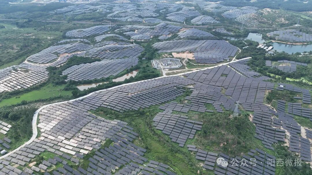 【百千万工程】织篢农场:光伏板下种斑斓叶 农光互补促增收