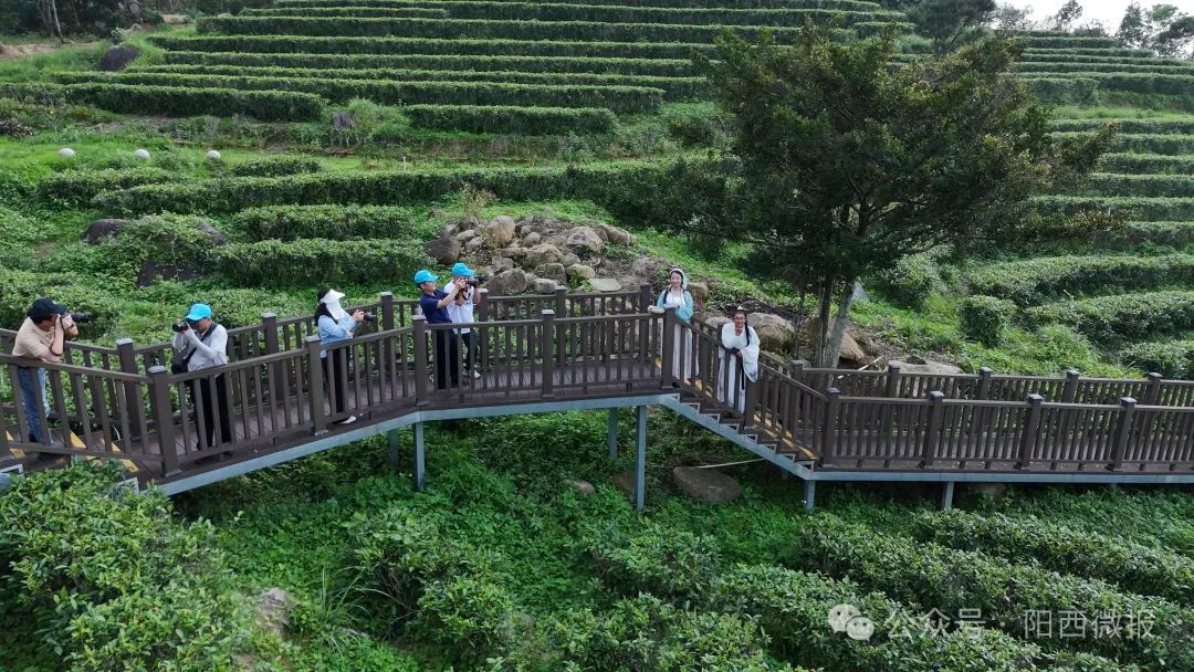 振兴乡村旅游助力百千万工程阳江市旅游协会到阳西县东水山采风