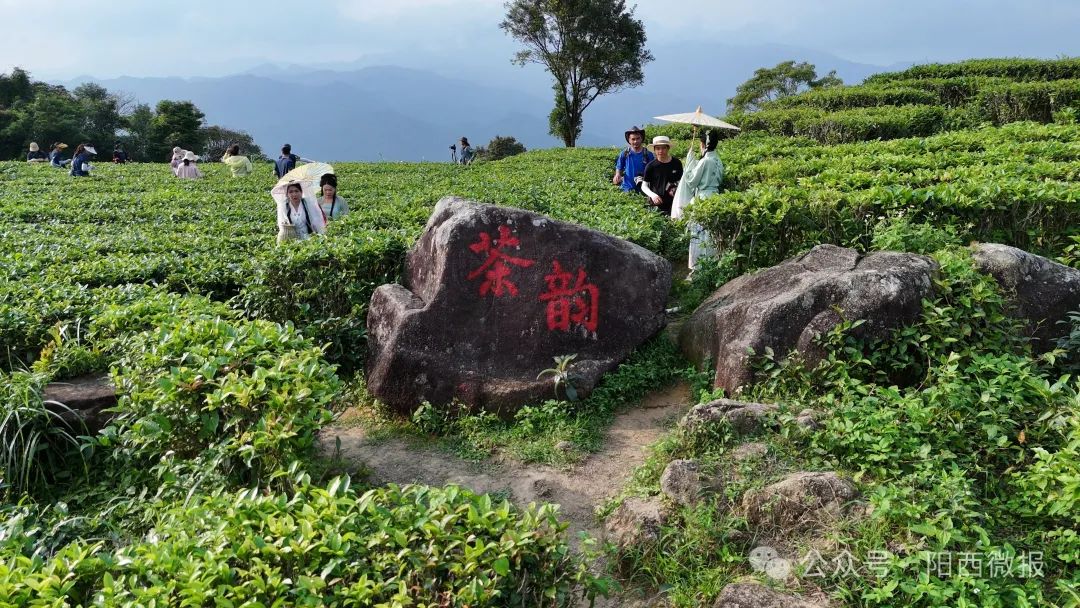 阳西东水山旅游景点图片