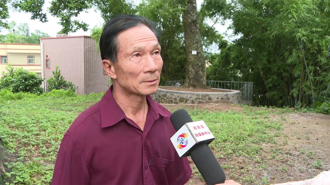 【绿美阳西】溪头镇那01村:百年见血封喉树生机勃勃 -阳西县人民