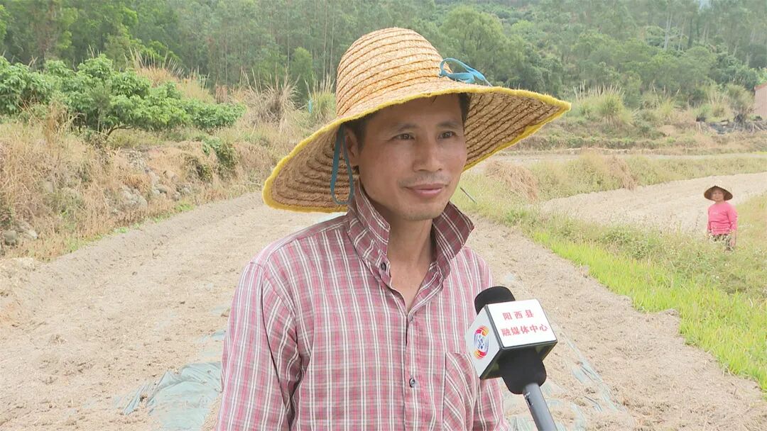 7万亩 -阳西县人民政府网站